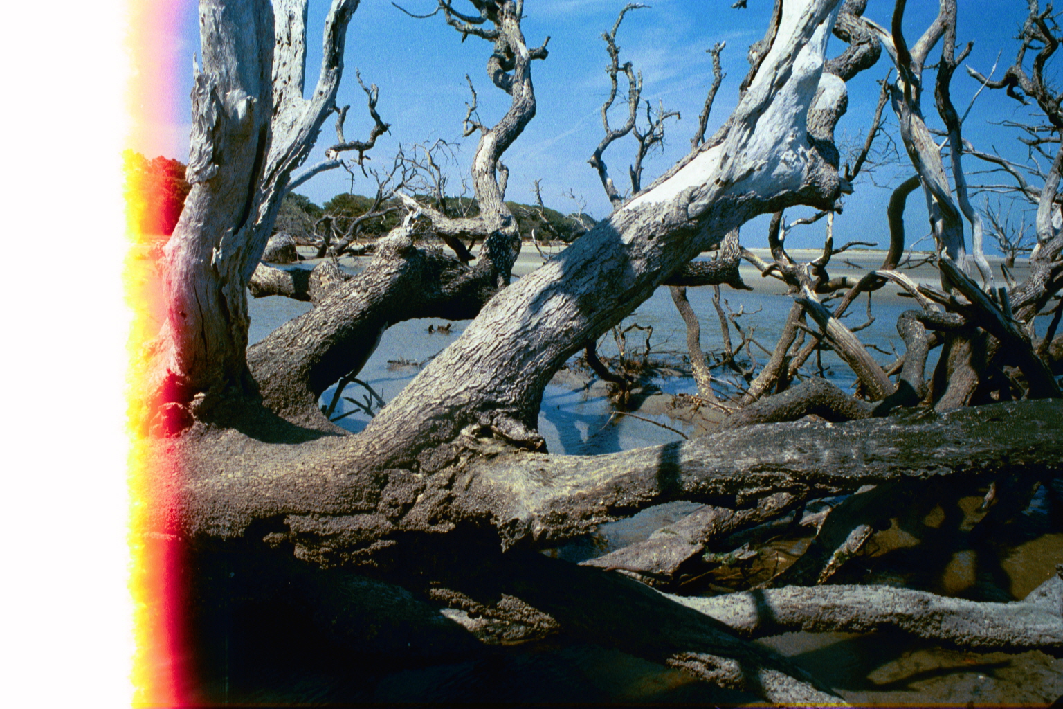 Boneyard